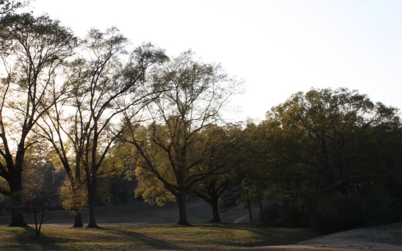 Chastain Park PATH trail at Chastain Memorial Park