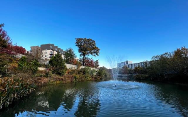 Amphitheater and great lawn at Historic Fourth Ward Park