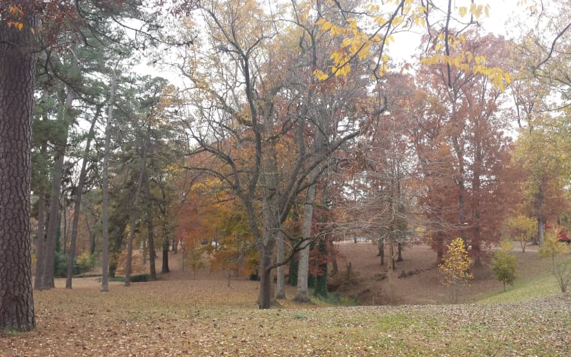 Perkerson Park basketball courts at Perkerson Park