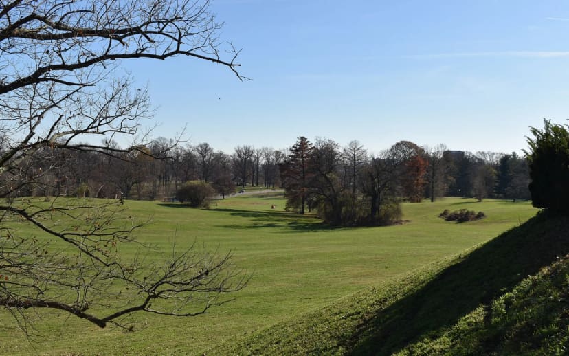 Mansion House Lawn at Druid Hill Park