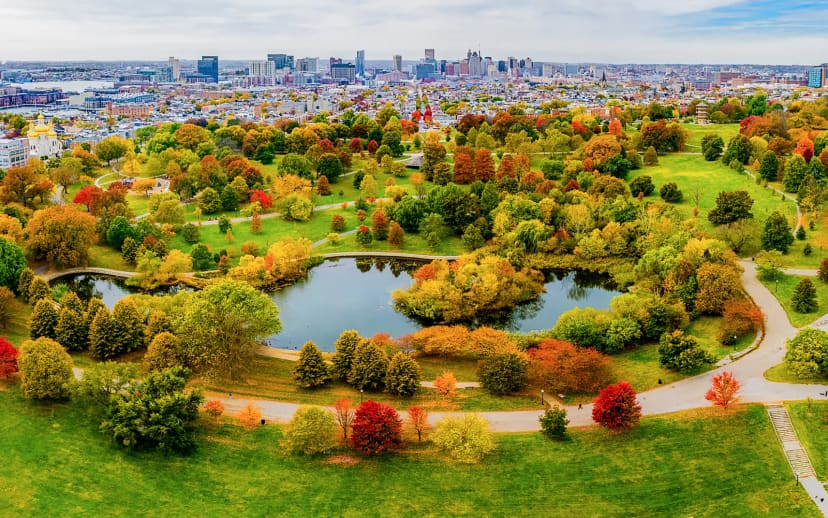 Patterson Park October Aerial