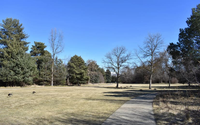 Paved walking path and open wildlife lawn at Kathryn Albertson Park