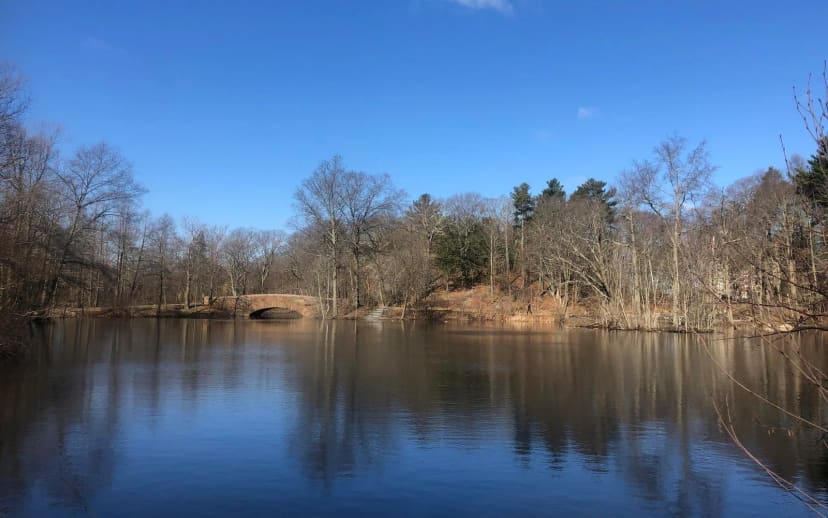Schoolmaster Hill at Franklin Park