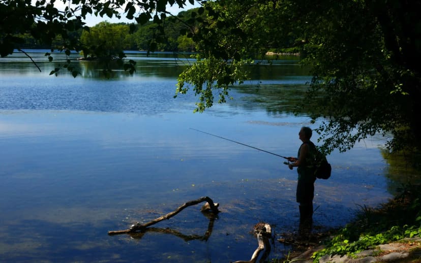 Jamaica Pond loop trail at Jamaica Pond