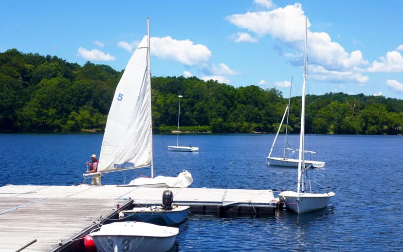 Pinebank Promontory at Jamaica Pond