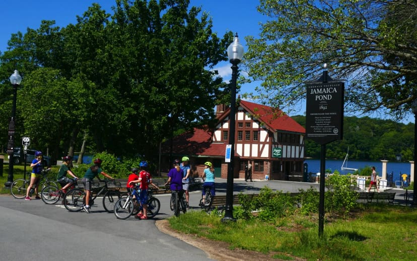 Fishing and shoreline access at Jamaica Pond