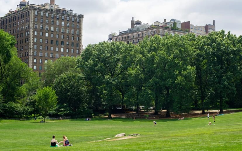 East Meadow & Cedar Hill in Central Park