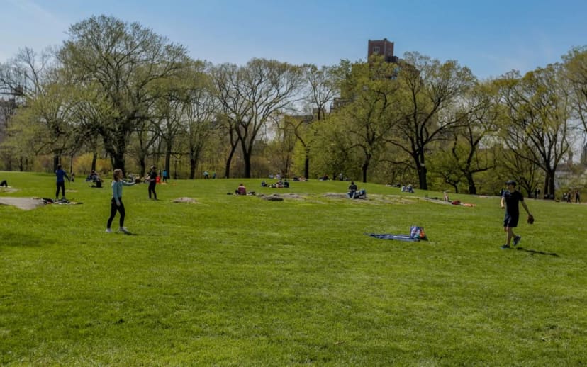 Great Hill in Central Park