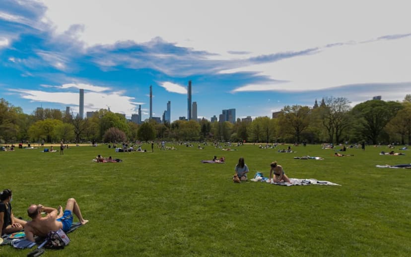Great Lawn & Arthur Ross Pinetum in Central Park