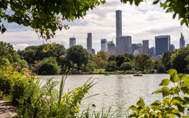 The Lake, Bow Bridge & Loeb Boathouse in Central Park