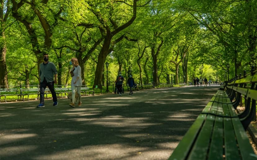 The Mall & Literary Walk in Central Park