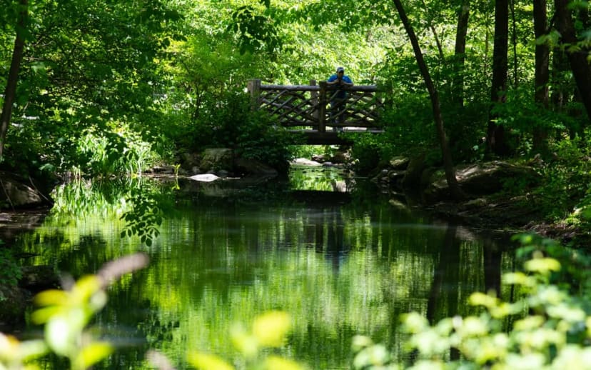 North Woods & Blockhouse No. 1 in Central Park