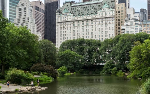 The Pond & Gapstow Bridge in Central Park