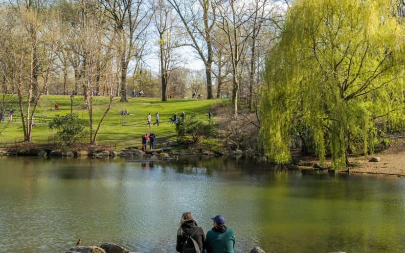 The Pool, Loch & Ravine in Central Park