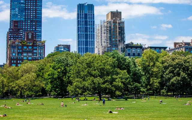 Sheep Meadow & Tavern on the Green in Central Park