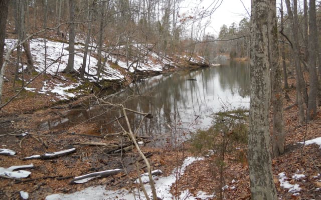 Cove Trail at McDowell Nature Preserve