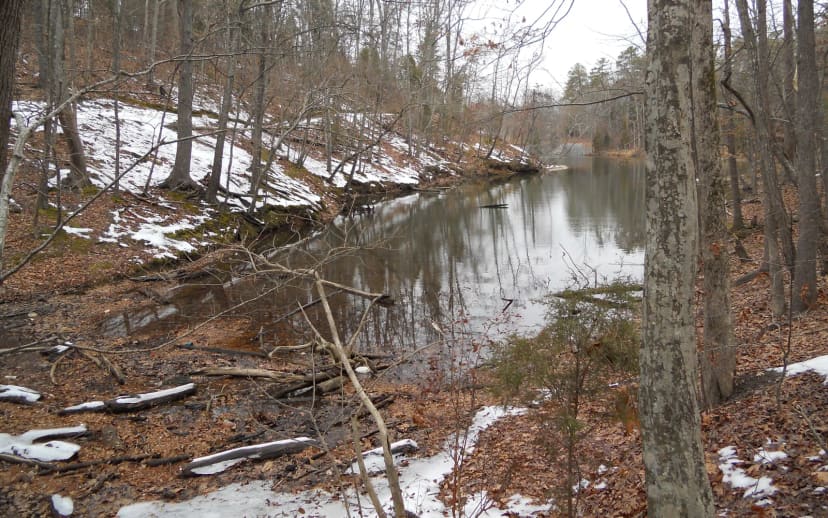 Cove Trail at McDowell Nature Preserve