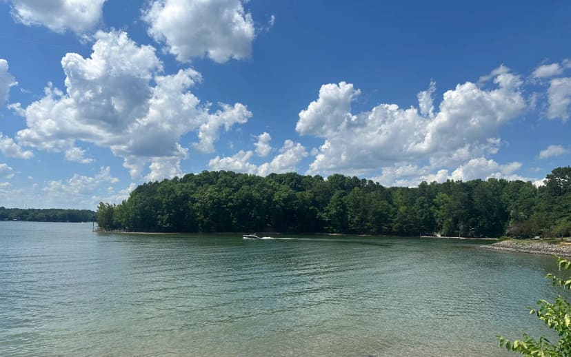 Copperhead Island at McDowell Nature Preserve