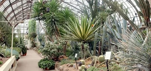Desert House at Garfield Park Conservatory
