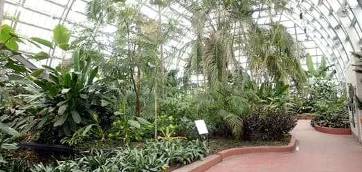 Palm House at Garfield Park Conservatory