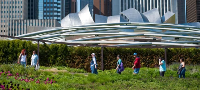 Lurie Garden & Jay Pritzker Pavilion at Millennium Park