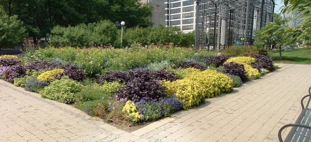 Cancer Survivors Garden at Grant Park