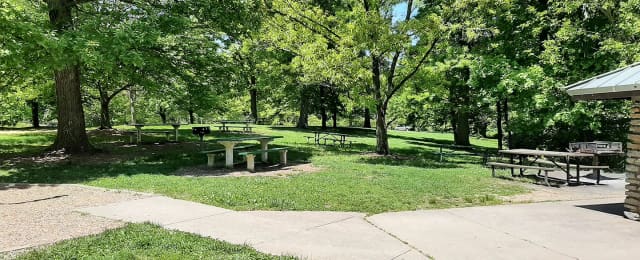 Doris Day Dog Park at Mount Airy Forest