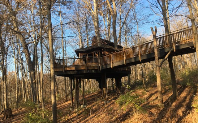 Everybody's Treehouse at Mount Airy Forest