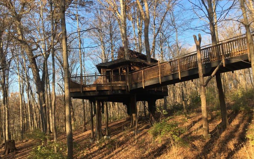 Everybody's Treehouse at Mount Airy Forest