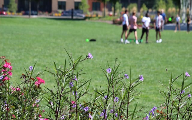 Summit Park Great Lawn at Summit Park