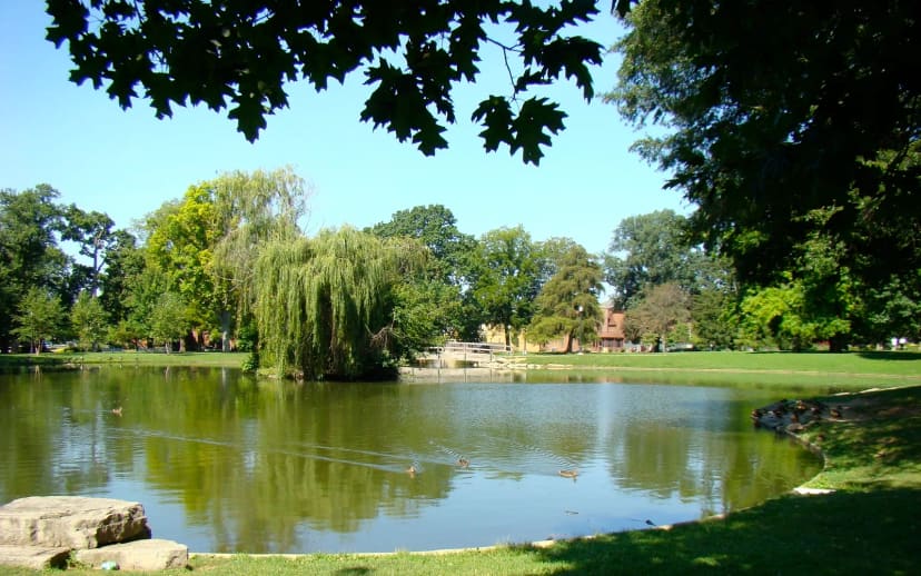 Schiller Park Pond, footbridge and surrounding lawn
