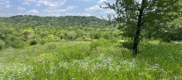 Cattail Pond Trail at Cedar Ridge Preserve