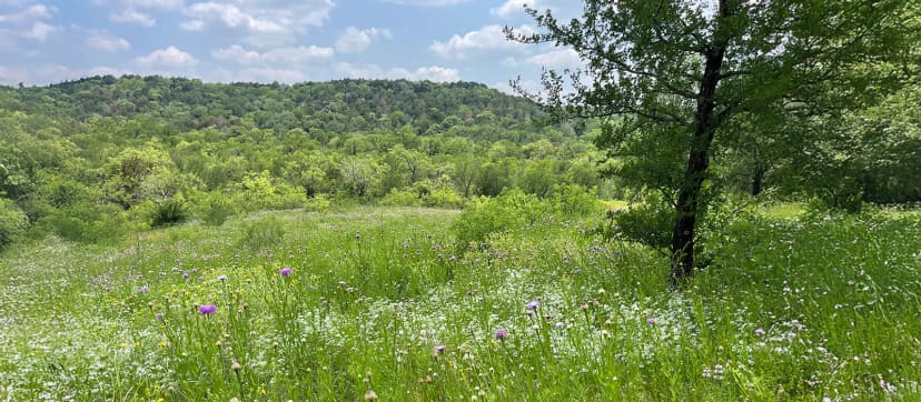 Cattail Pond Trail at Cedar Ridge Preserve