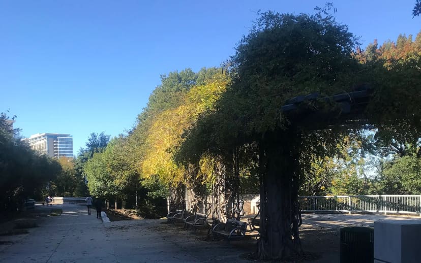 Snyder's Union at Katy Trail