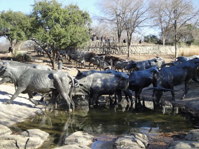 Pioneer Plaza cattle drive sculpture at Pioneer Plaza