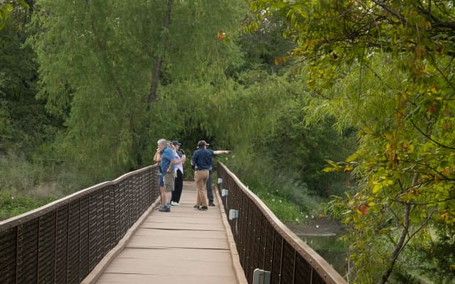 Wetland Trail at Trinity River Audubon Center
