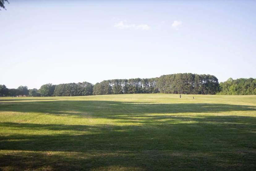 People gathering across the Big Field at Dix Park