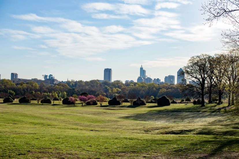 Flowers Field and downtown skyline
