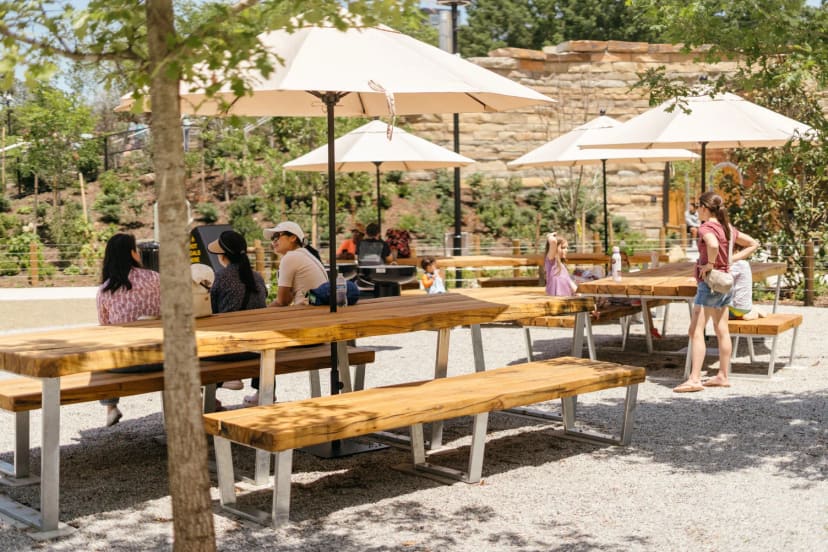 Picnic Grove tables and shade