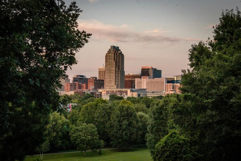 Downtown skyline from The Grove