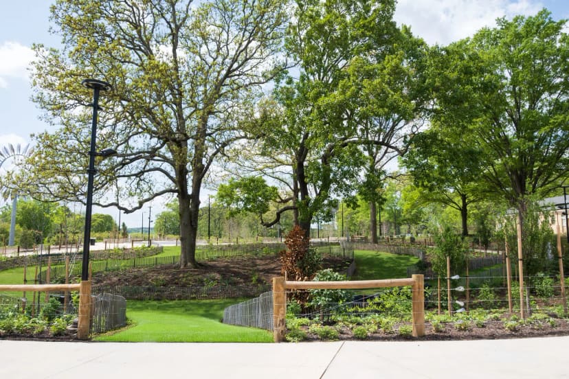 Shaded paths in Woodland Garden