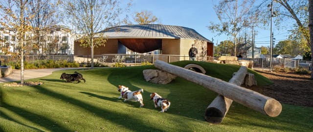 Dog visitors using the Barkyard tunnels and turf