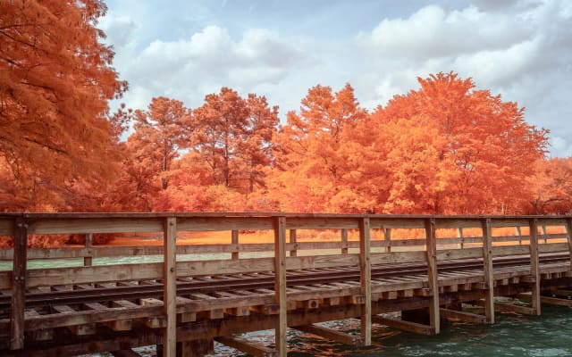 McGovern Centennial Gardens at Hermann Park