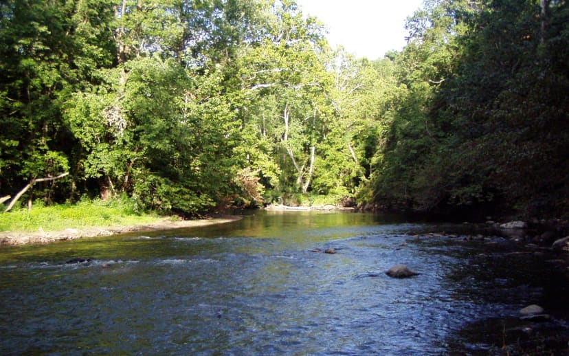 Fall Creek flowing through wooded Fort Harrison State Park