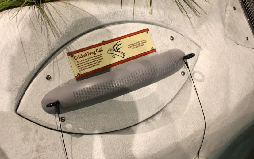 Interactive Cricket Frog Call exhibit inside Habitat Hall at the Holliday Park Nature Center