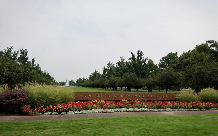 A broad visitor view of Ann Morrison Park