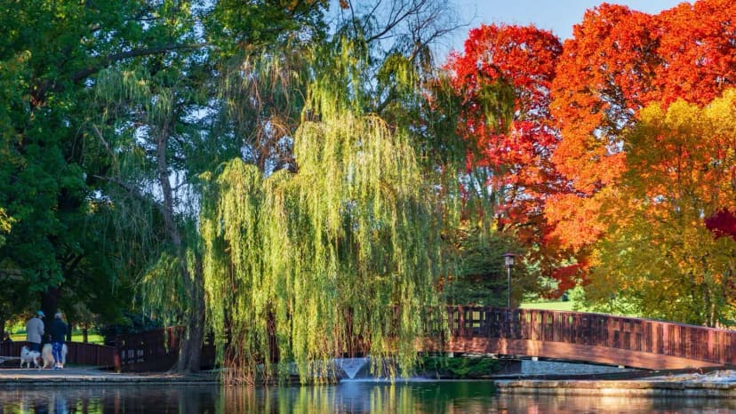 Jacob L. Loose Park in the Kansas City area