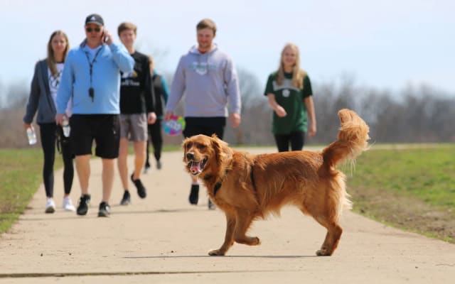 Shawnee Mission Park Off Leash Dog Area at Shawnee Mission Park