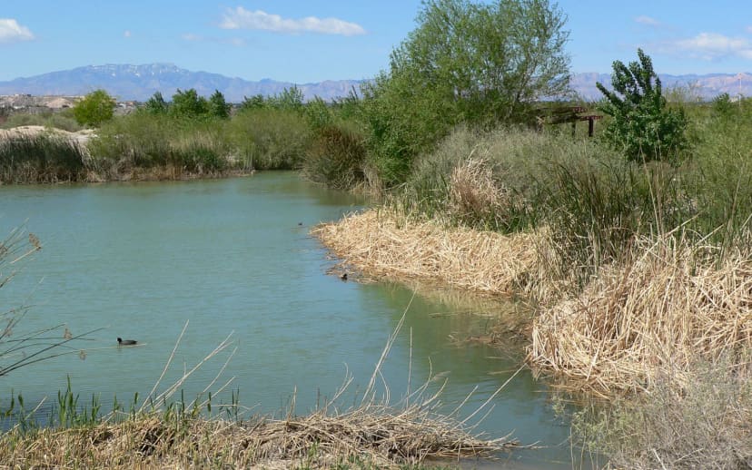 Clark County Wetlands Park in the Las Vegas and Southern Nevada area