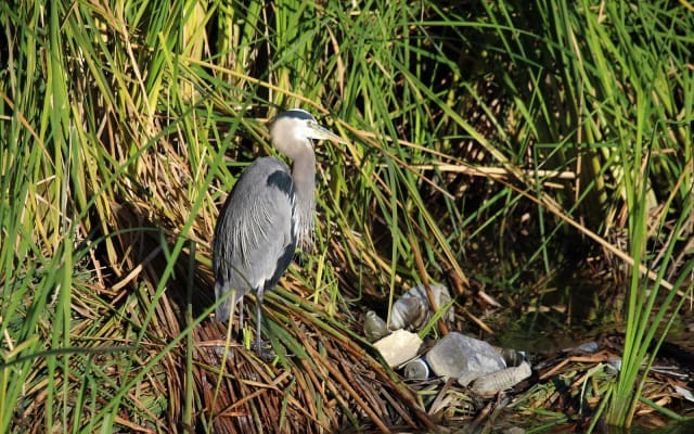 Wetlands Park Nature Center at Clark County Wetlands Park